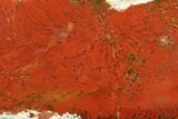 Red, Indonesian Plume Agate Slab - North Sumatra #149615-2